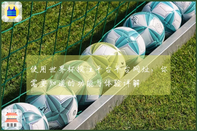 使用世界杯投注平台平台网址，你需要知道的功能与体验详解
