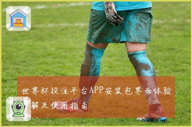 世界杯投注平台APP安装包界面体验详解及使用指南