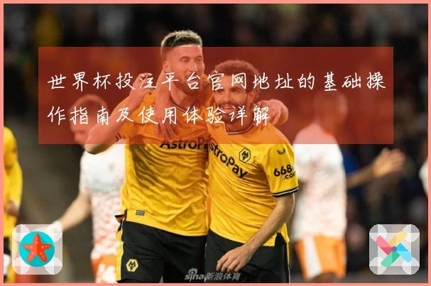 世界杯投注平台官网地址的基础操作指南及使用体验详解
