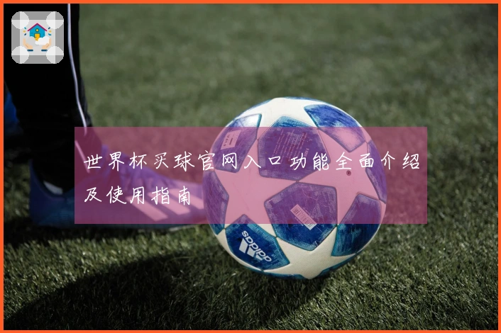 世界杯买球官网入口功能全面介绍及使用指南