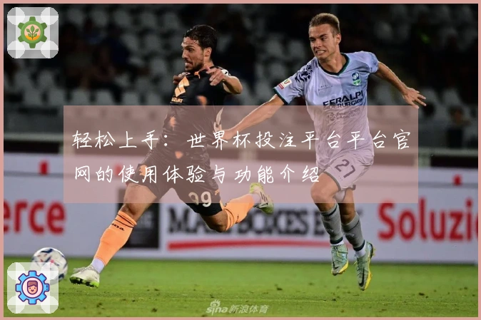 轻松上手：世界杯投注平台平台官网的使用体验与功能介绍