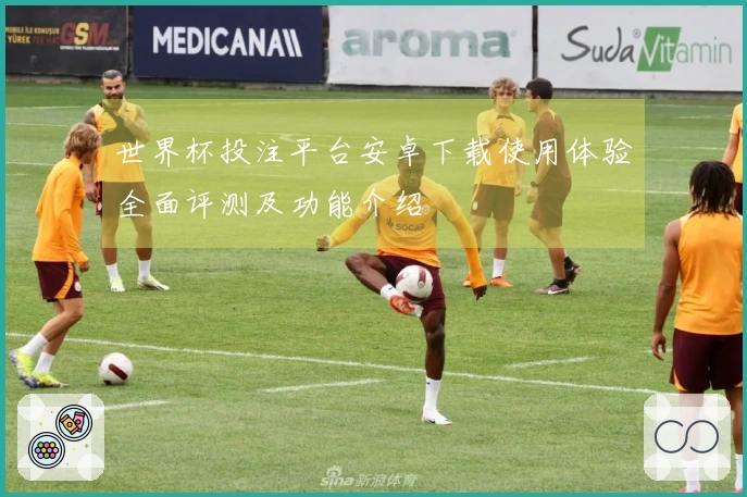 世界杯投注平台安卓下载使用体验全面评测及功能介绍