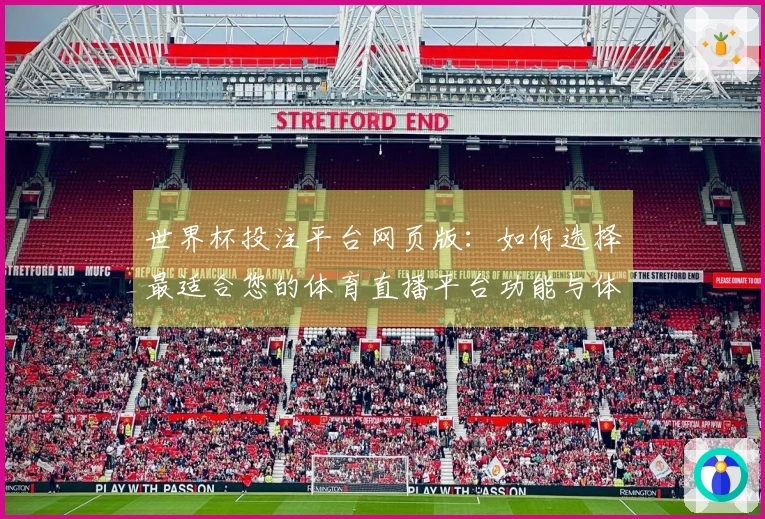 世界杯投注平台网页版：如何选择最适合您的体育直播平台功能与体验对比指南