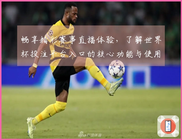 畅享精彩赛事直播体验，了解世界杯投注平台入口的核心功能与使用指南